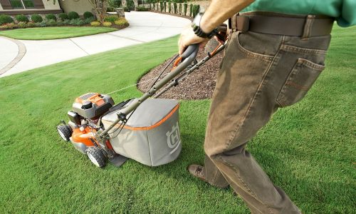 garden, garden shop, grass-2178234.jpg