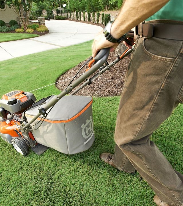 garden, garden shop, grass-2178234.jpg