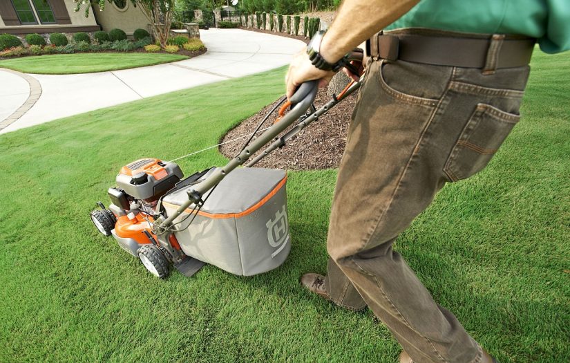garden, garden shop, grass-2178234.jpg